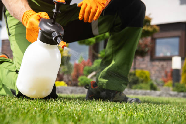 Flea Control Services in Wagoner, OK