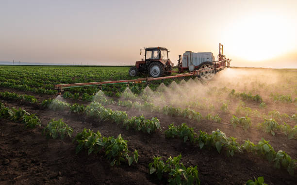 Best Best Pest Control Companies  in Wagoner, OK