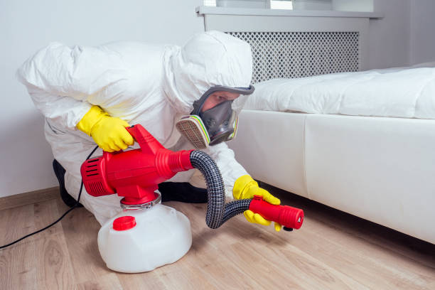 Wasp Removal Services in Wagoner, OK