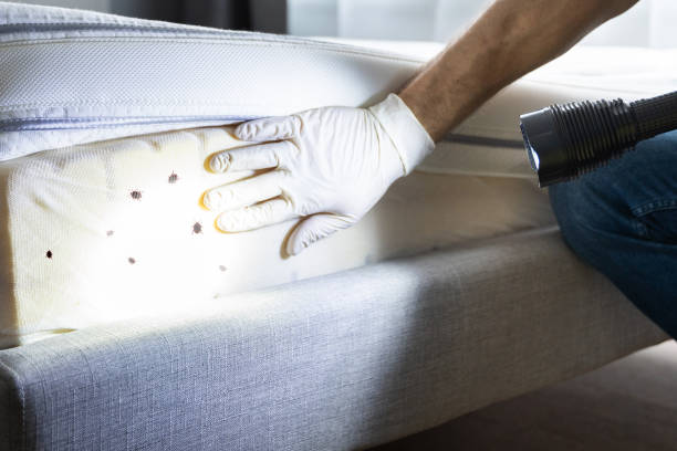 Best Bed Bug Extermination  in Wagoner, OK