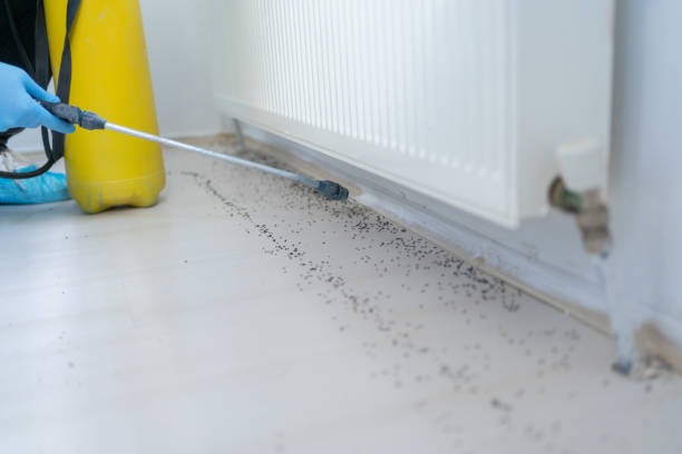 Best Flea Control Services  in Wagoner, OK