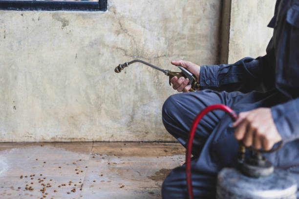 Best Pest Control for Homes  in Wagoner, OK